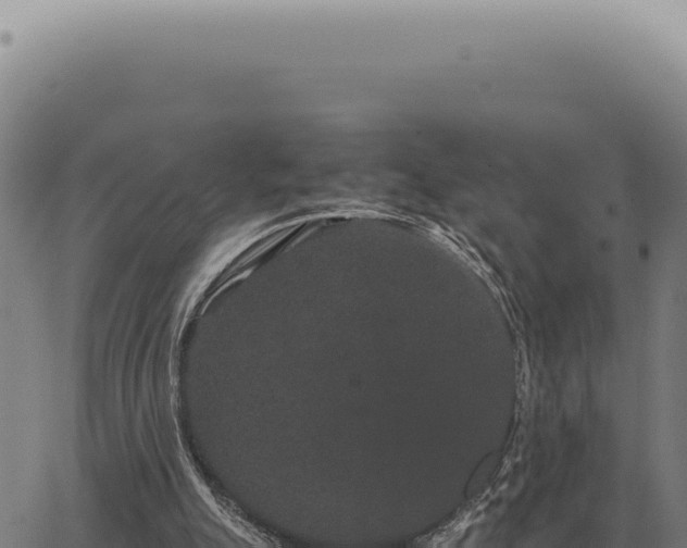 X0000063500055200601271755