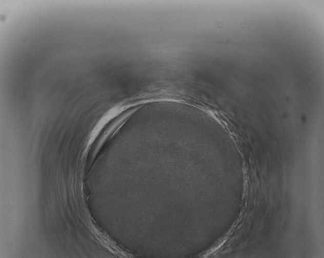 X0000063500056200601271755