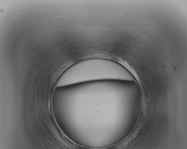 X0000063500057200601271755