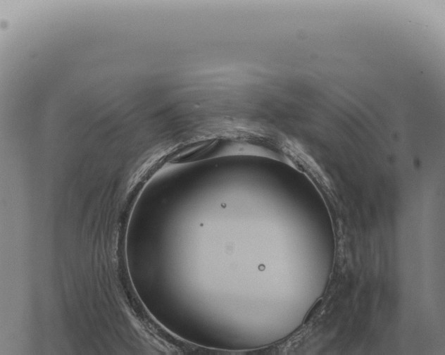 X0000063500058200601271755