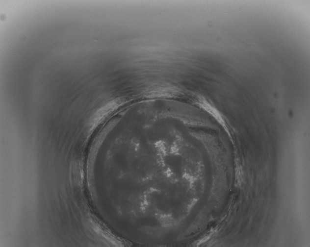 X0000063500059200601271755