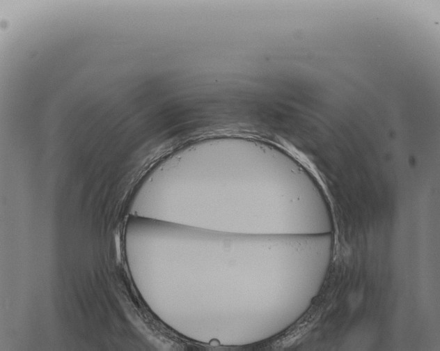 X0000063500061200601271755