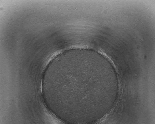 X0000063500062200601271755