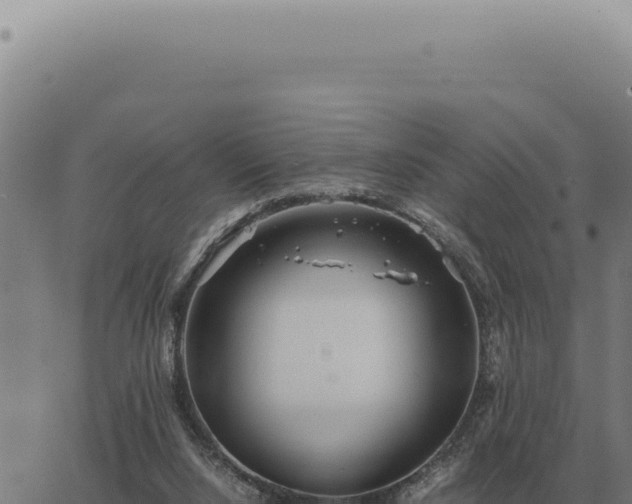 X0000063500064200601271755