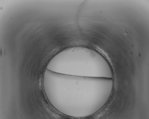 X0000063500065200601271755