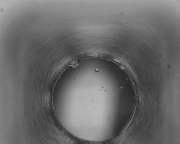 X0000063500066200601271755