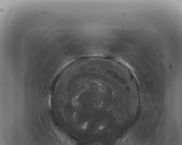 X0000063500067200601271755