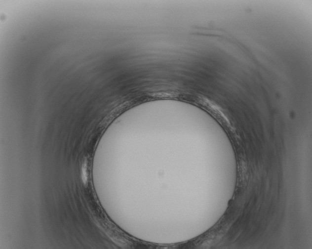 X0000063500069200601271755