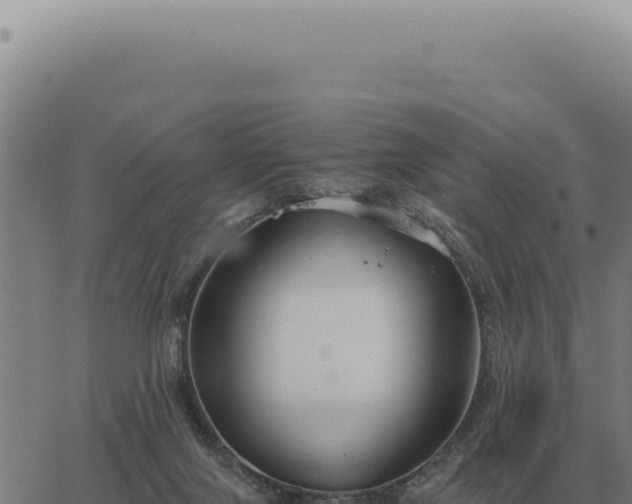 X0000063500071200601271755