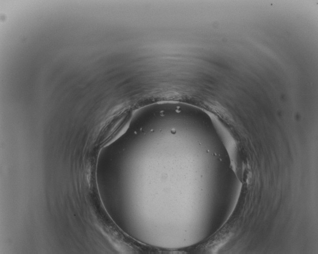 X0000063500072200601271755