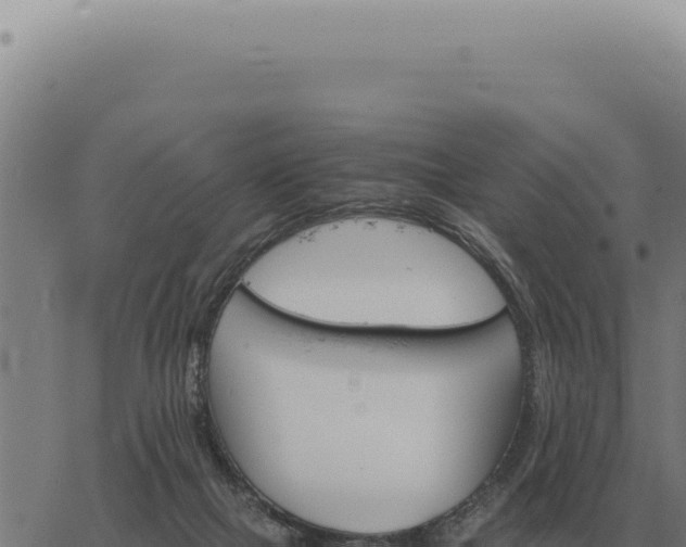 X0000063500073200601271755