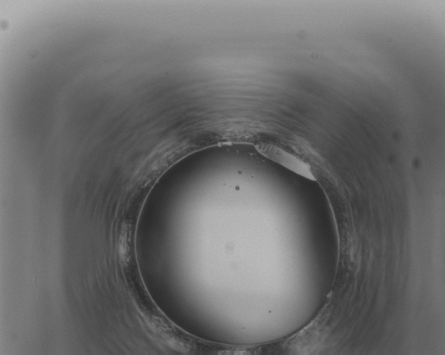 X0000063500074200601271755