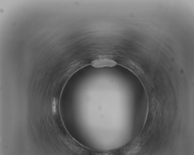 X0000063500075200601271755