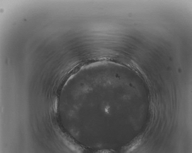 X0000063500076200601271755