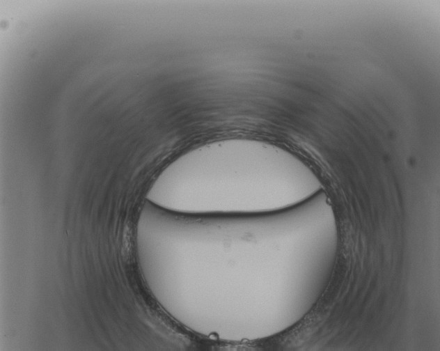 X0000063500077200601271755