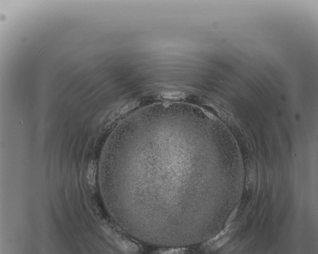 X0000063500078200601271755