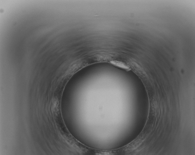 X0000063500079200601271755