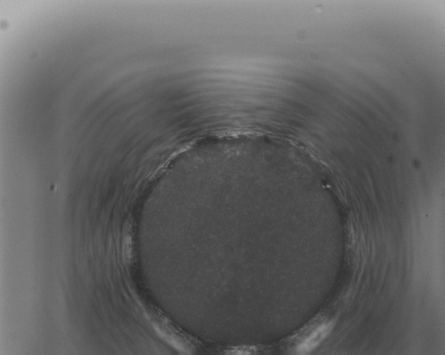 X0000063500080200601271756