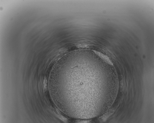 X0000063500081200601271756