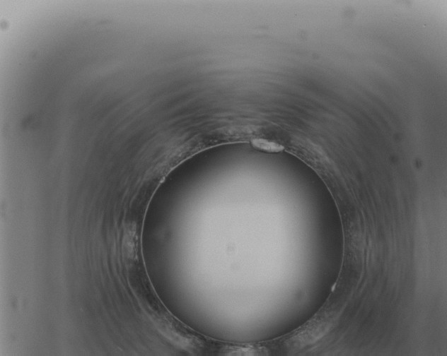 X0000063500083200601271756