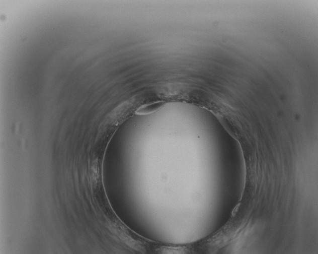 X0000063500085200601271756