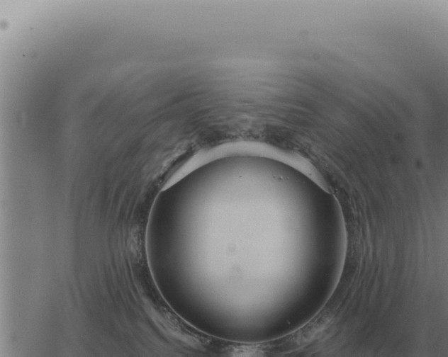 X0000063500088200601271756