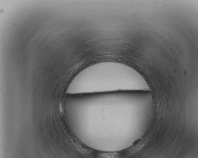 X0000063500089200601271756