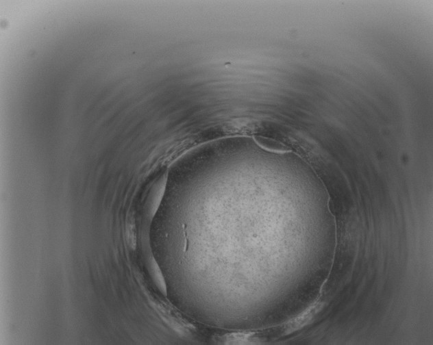 X0000063500090200601271756