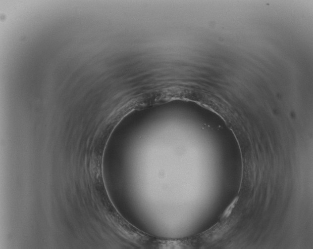 X0000063500091200601271756