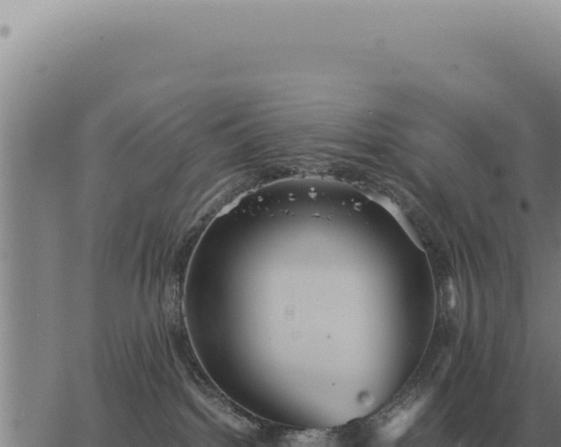 X0000063500092200601271756