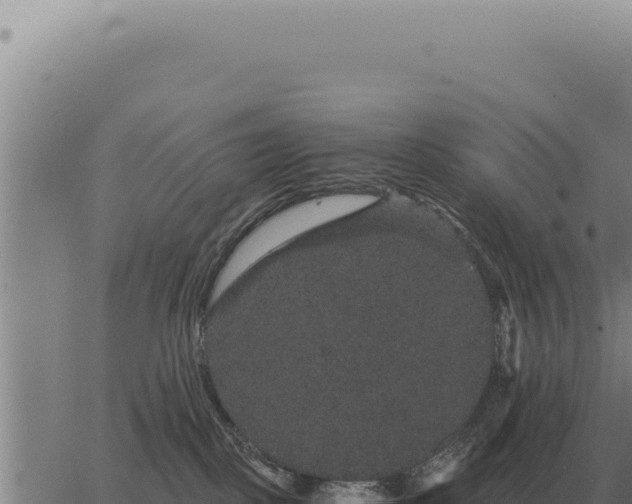 X0000063500093200601271756