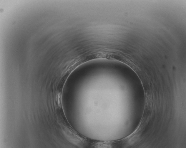 X0000063500094200601271756