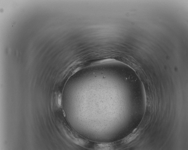 X0000063500095200601271756