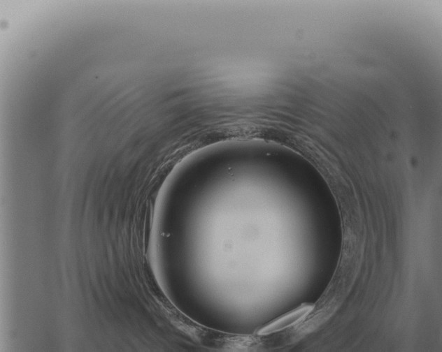 X0000063500096200601271756