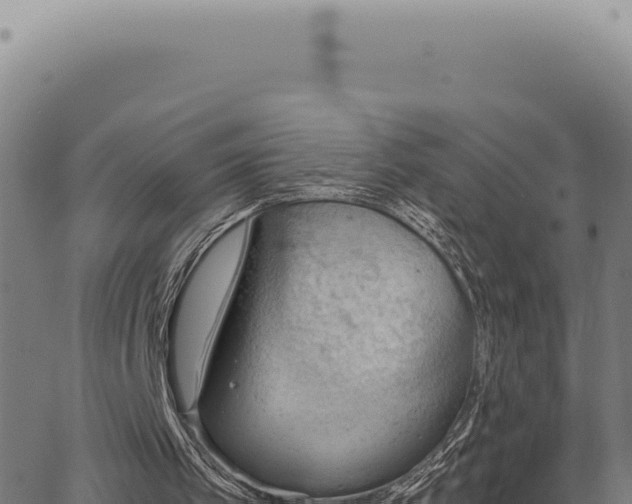 X0000063500097200601271755