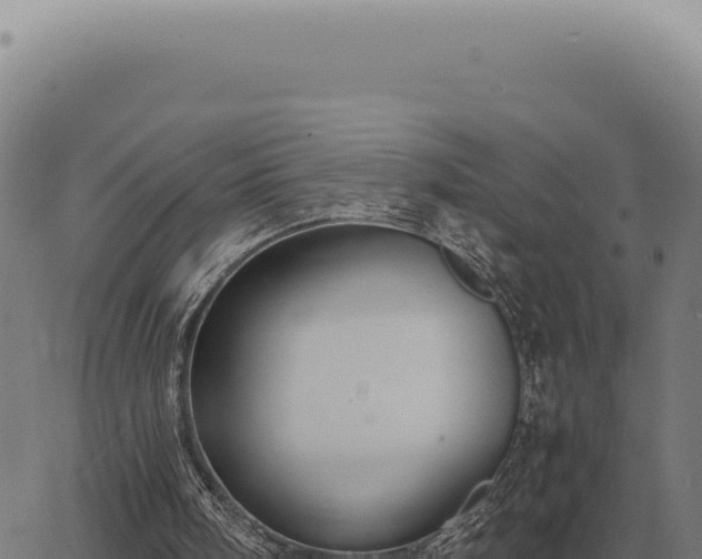 X0000063500098200601271755