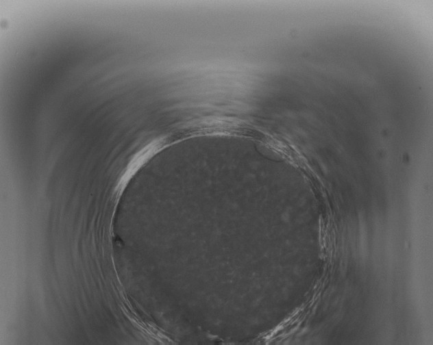 X0000063500099200601271755