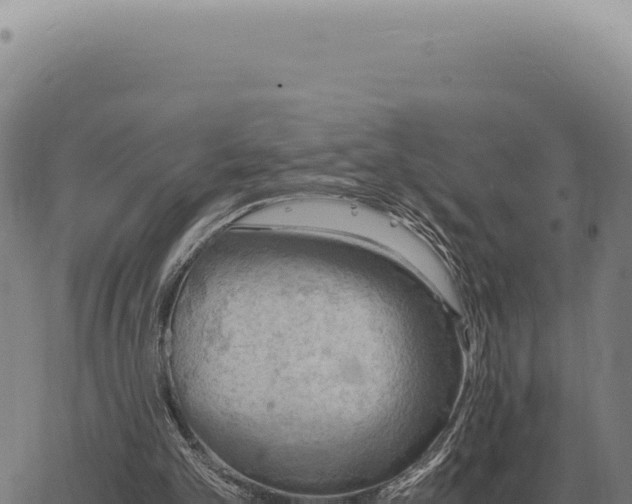 X0000063500101200601271755