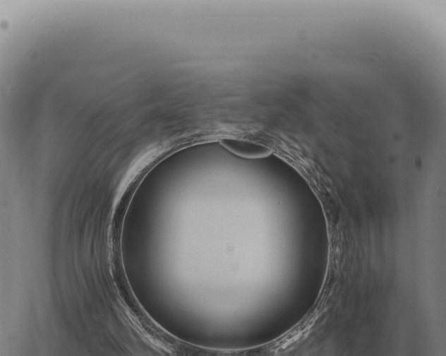 X0000063500102200601271755