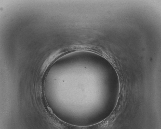 X0000063500103200601271755