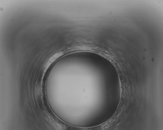 X0000063500104200601271755