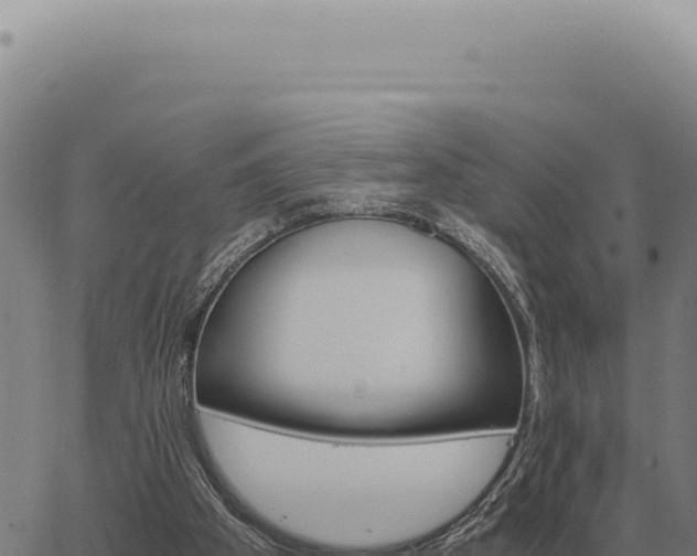 X0000063500105200601271755