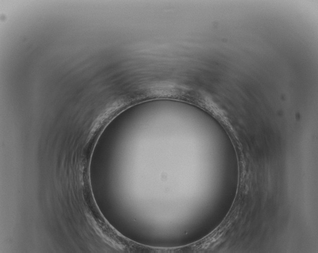 X0000063500106200601271755