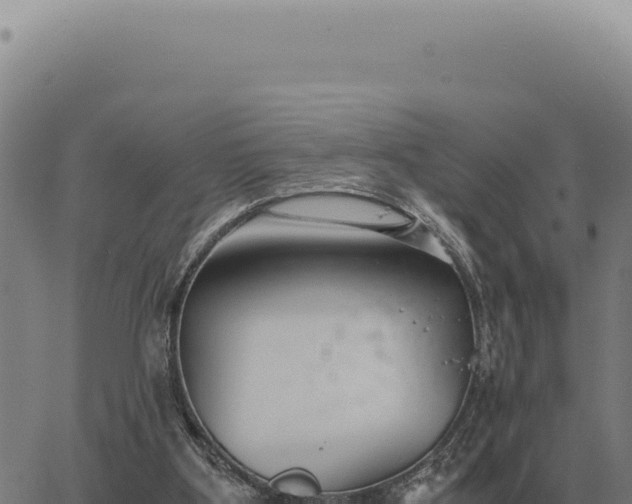 X0000063500107200601271755