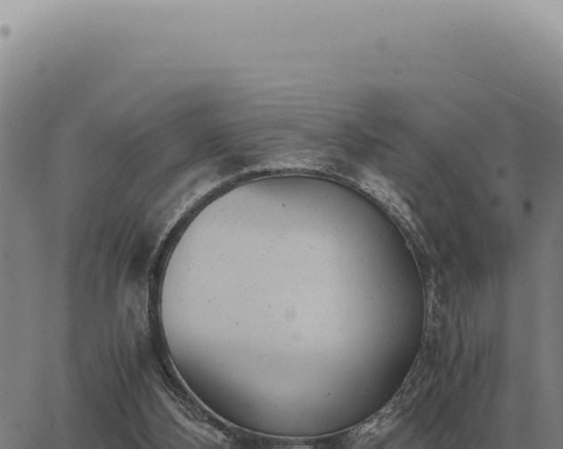 X0000063500108200601271755