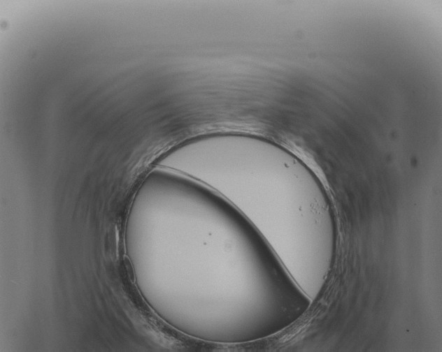 X0000063500109200601271755