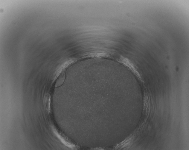 X0000063500110200601271755