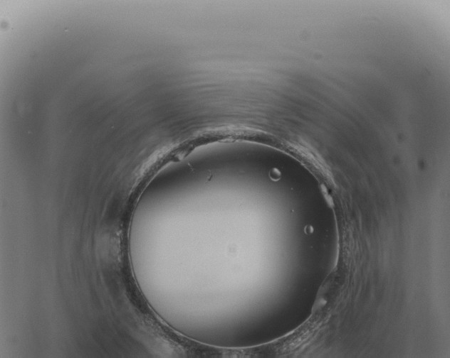 X0000063500111200601271755