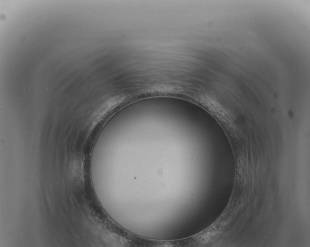 X0000063500112200601271755