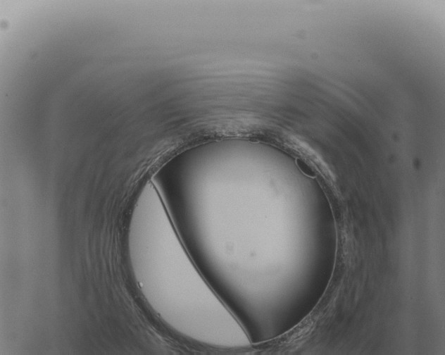 X0000063500113200601271755